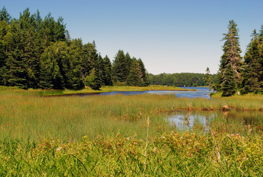 756674 (a): :2500x1674